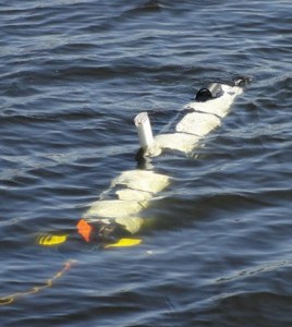 The IVER3 autonomous underwater vehicle that will inspect Line 5 under the Straits of Mackinac (Credit: Michigan Technical University)
