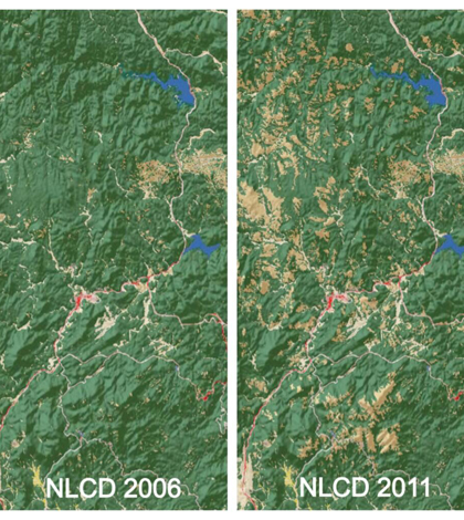 Canopy loss from a mountain pine beetle outbreak in the Black Hills, S.D. as captured by the 2011 National Land Cover Database (Crdit: USGS)