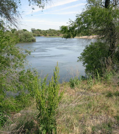 The San Joaquin River (Credit: Mary Matella)