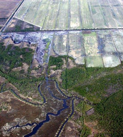 An aerial view of the North River Farms wetland restoration (Credit: NC State University Department of Biological and Agricultural Engineering)