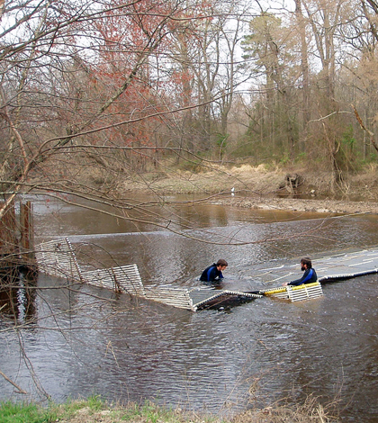 Installing the weir for the American shad study on the Little River (Credit: Joshua Raabe, via Flickr)