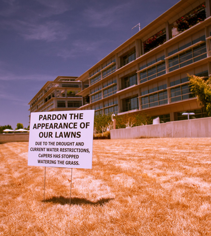 Drought and watering restrictions lead to dead lawns near Sacramento. (Credit: Kevin Cortopassi, via Flickr)