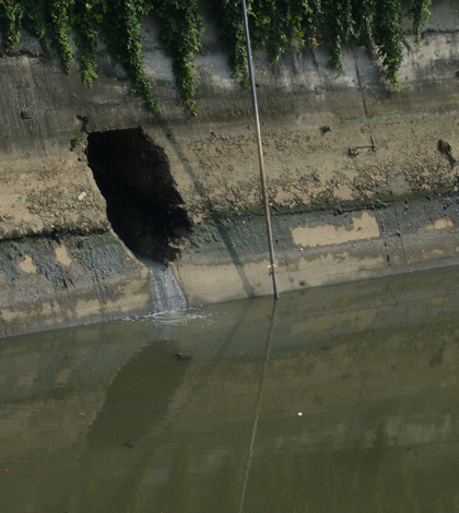 Sewage water continuously discharged into the Yangtze River (Credit: Mengzhen Xu)