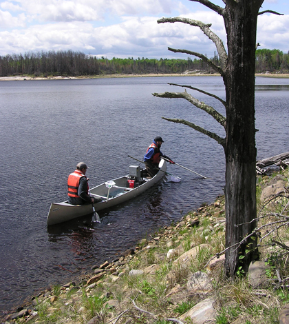 Mark Sandheinrich and Sean Bailey from the University of Wisconsin-LaCrosse, collect year-old yellow perch in Shoepack Lake (Credit: Mark Brigham)