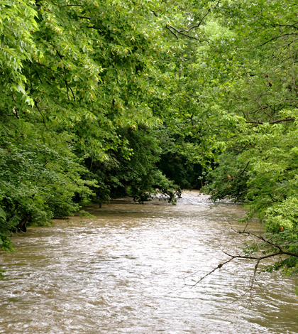 Wabash River in Indiana (Credit: Kevin Burkett, via Flickr)