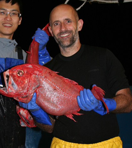 Study author Clive Trueman and an orange roughy (Credit: Clive Trueman)