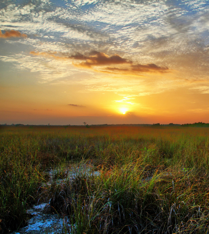 Sunrise over the Everglades seen from Pahayokee Overlook in Everglades National Park (Credit: Chris Foster, via Flickr)