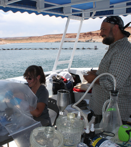 Processing sediment samples collected from the bottom of Lake Powell (Credit: USGS)