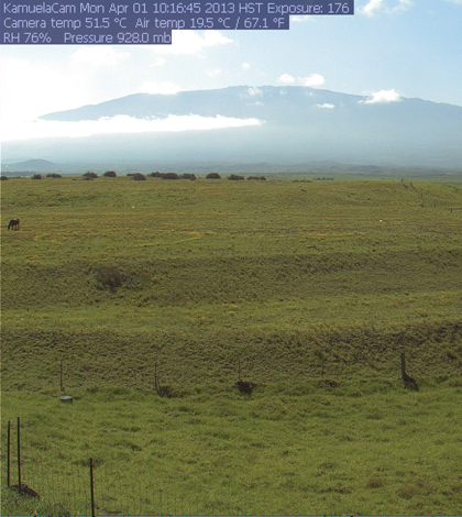 The view of a PhenoCam grassland site in Waimea, Hawaii, with Mauna Kea in the background (Credit: PhenoCam)