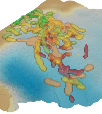 A 3-D probability map of where dugongs are likely to be at various tide levels (Credit: USGS)