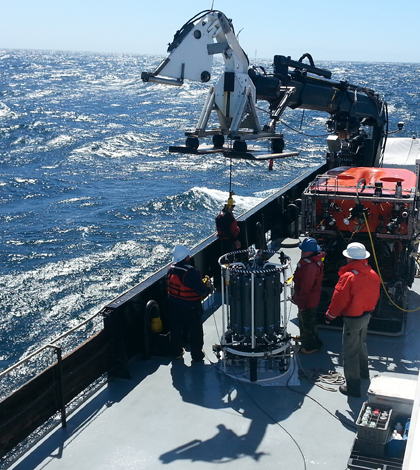 Researchers collect water to test with a new eDNA tool created by the Center for Ocean Solutions that can identify marine species in the water sample. (Credit: Jesse Port)