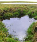 Thermokarst lakes occur as permafrost thaws and creates surface depressions that fill with melted freshwater. (Credit: Katey Walter Anthony / University of Alaska Fairbanks)