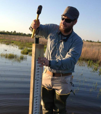 Root installed staff gauges at two potential crawfish frog reintroduction sites. (Credit: Brandon Root)