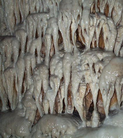 Cave dripstones (Credit: Tyler Karaszewski, via Wikimedia Commons)
