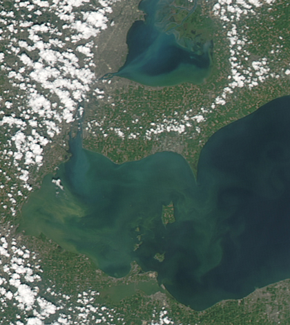 A satellite image of the algae bloom on Lake Erie on Aug. 3, 2014 (Credit: NASA Goddard Space Flight Center)