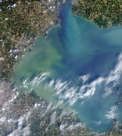 A satellite image of the algae bloom on Lake Erie on Aug. 1, 2014 (Credit: NASA)