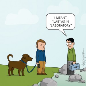 Labradoratory