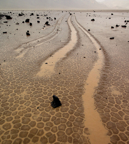 Parallel trails carved in the wet, mud-cracked surface of the Death Valley playa. (Credit: Jim Norris)