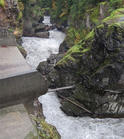 The Elwha River near the Glines Canyon Dam as of September 2013 (Credit: NPS/USBR/USGS Elwha Restoration Project Imagery , via Flickr)