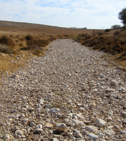 The Rambla de Nogalte in Spain is an ephemeral stream with simple, straight topography. (Credit: Katerina Michaelides)