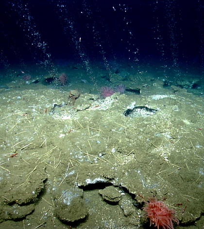 A methane seep offshore of Virginia. (Credit: NOAA OKEANOS Explorer Program, via Flickr)