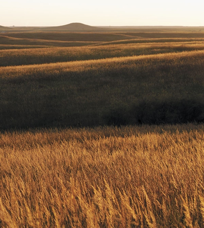 Konza tallgrass prairie in Kansas, part of the Flint Hills Legacy Conservation Area. (Credit: Jim Minnerath/USFWS)