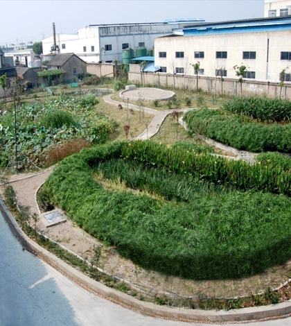 Completed wetlands. (Credit: Haifeng Jia)