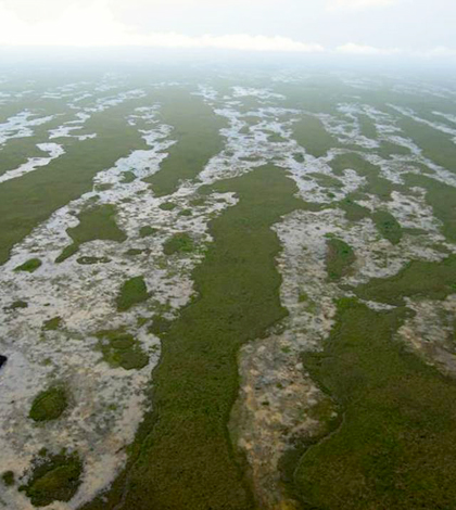 Aerial view of the Florida Everglades sloughs. (Credit: USGS)