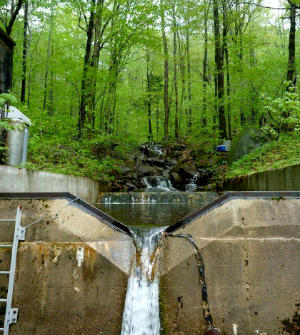 Hubbard Brook Experimental Forest in New Hampshire. (Credit: Virginia Tech)