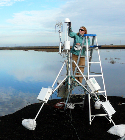 Jaclyn Matthes cleaning the eddy flux tower shortly after it was installed at the newly flooded wetland in winter 2010. (Credit: Joe Verfaillie)