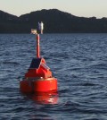 Buoy deployed in Lake Waikaremoana. (Credit: Chris McBride)