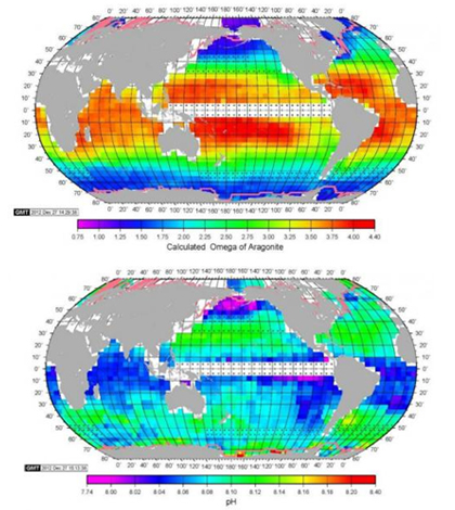 New global maps give a better look at ocean acidification. (Credit: Taro Takashi)