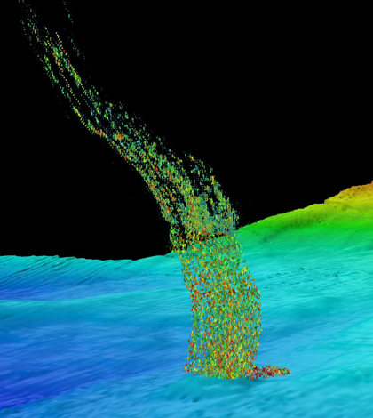 Sonar image of bubbles rising from the seafloor. (Credit: Brendan Philip / UW)