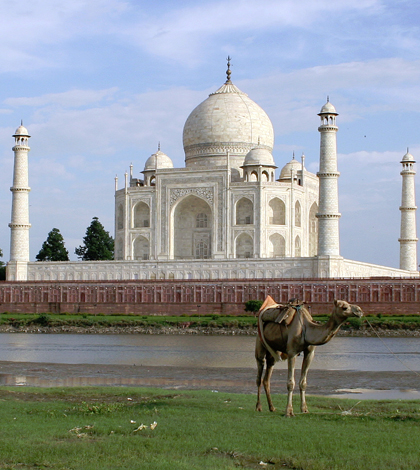 Taj Mahal world heritage site in Agra, India. (Credit: David Castor)