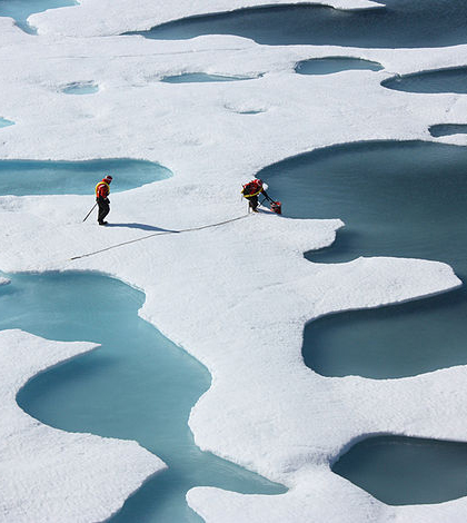 Melt-season Arctic ice. (Credit: NASA Goddard Space Flight Center)