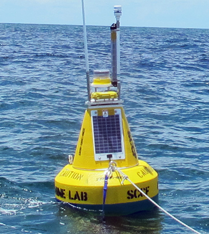 The buoy is deployed near artificial reefs popular with anglers and divers (Credit: SCCF)