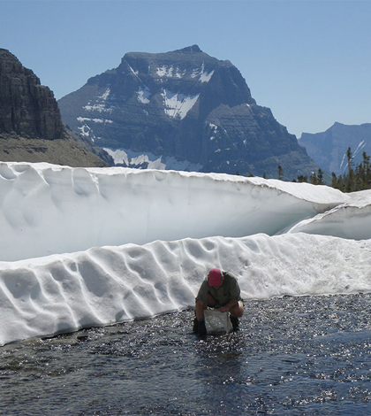 Joe Giersch sets an insect sampling net in a Glacier National Park stream. (Courtesy Joe Giersch)