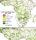 Trends in vegetation greeness over 10 years. (Credit: Heiko Balzter, et al)