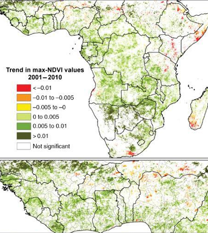 Trends in vegetation greeness over 10 years. (Credit: Heiko Balzter, et al)