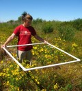 Indiana University student, Anya Hopple, collecting wetland data. (Credit: Indiana University)
