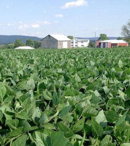 PAOneStop is an online system to help farmers reduce impacts on the environment. (Credit: Reidar Jensen)