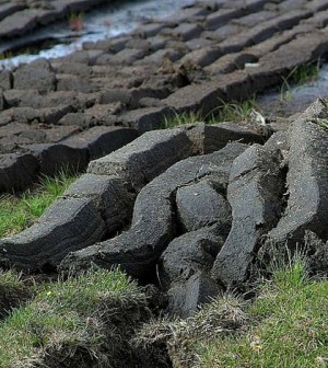 Michigan Peat Moss