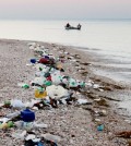 Plastic pollution lines a beach. (Credit: Timothy Townsend)