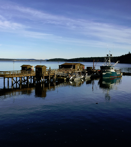 Researchers are using Friday Harbor Labs to study Puget Sound acidity. (Credit: J. Meyer / UW)