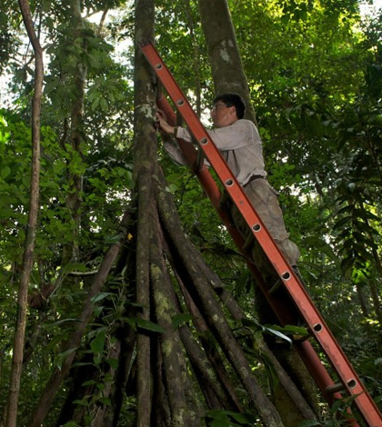 Scientists measured for physical signs of carbon dioxide uptake. (Credit: Jake Bryant)