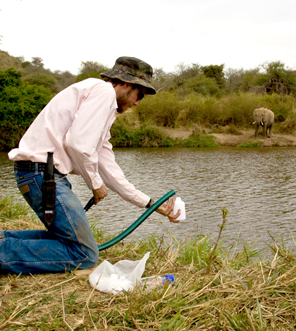 The presence of hippopotamus and crocodiles in East African rivers increases the complexity of collecting water samples.. (Credit: UC Santa Barbara)