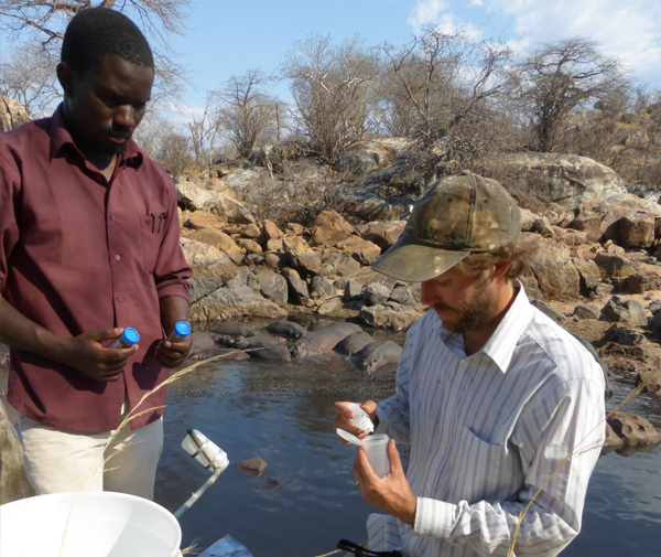 Douglas McCauley and James Mpemba test pH and dissolved oxygen concentrations of water samples collected from a river pool with a large pod of hippopotamus in Ruaha National Park, Tanzania. (Credit: UC Santa Barbara)