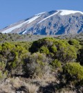 Scientists are looking into effects of global warming on high-elevation locations. (Credit: Douglas Hardy / UMass Amherst)