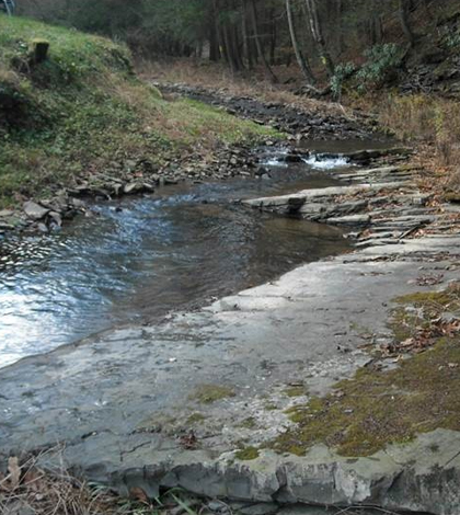 Researchers at Penn State are looking to streams for shale gas contamination. (Credit: Paul Grieve / Penn State)