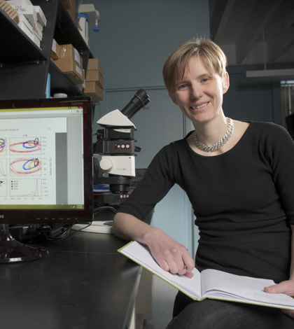 niche in ecosystem / Co-author and UW biology professor Heidi Swanson sits next to charts generated by the nicheROVER tool. (Courtesy of Martin Schwalbe)